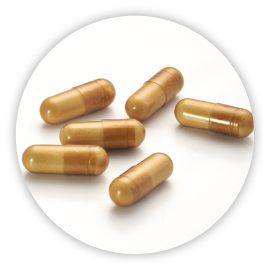 ヒメマツタケ亜臨界水抽出物CP-101カプセル