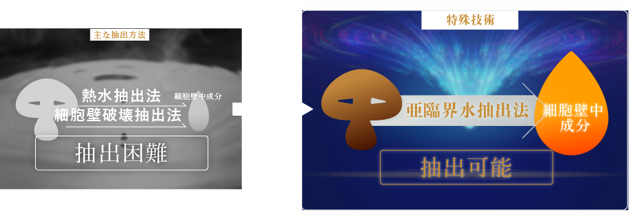 特殊技術亜臨界水抽出法