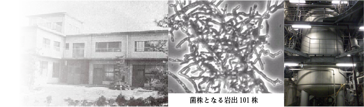 岩手菌学研究所